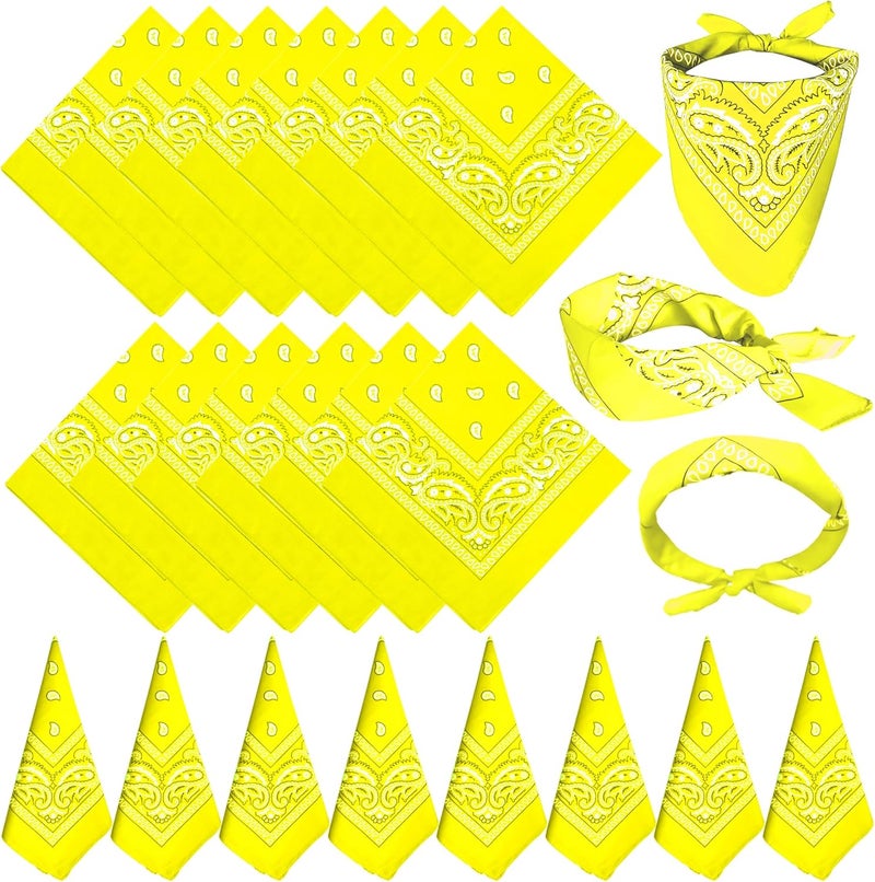 TFengfly 24 Pack Paisley Bandanas Bulk Unisex Cowboy Bandanas Head Scarf Necktie Face Cover - Image 1